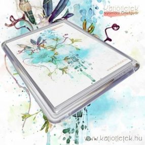   Akril hűtőmágnes tok 60x45 mm-es képhez - Ajándéktárgy