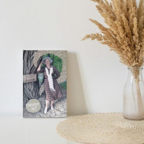 Puhatáblás könyv: Joódy Anna: Miért is?