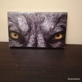 Puhatáblás könyv: Hestia Potter: Legendary Lázadás