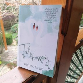 Puhatáblás könyv: Hugyecz Anikó: Túl hosszú út
