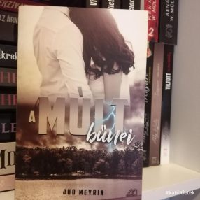 Puhatáblás könyv: Jud Meyrin: A múlt bűnei