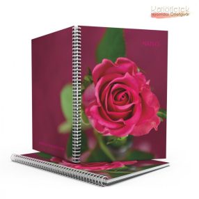 Rózsás spirálos napló