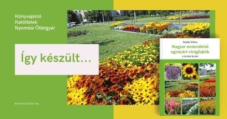 Így készült Marika keménytáblás könyve