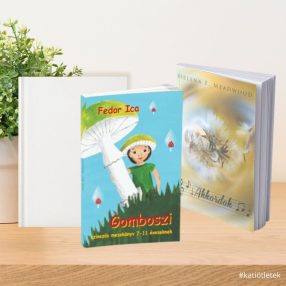   Könyvcsomag 010 - PUHATÁBLÁS KÖNYV: Helena F. Meadwood: Akkordok + Fedor Ica: Gomboszi című könyv + Nyomatlan keménytáblás üres könyv A/5 egyedi napló készítéshez