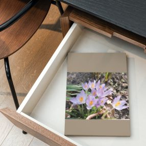 Gyors, egyszerű online könyv látványkép készítés