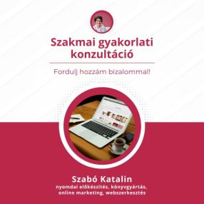   Webáruház indítás 3 óra alatt alapbeállítással (Ft/óra)